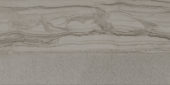 Arcadia 12X24 Trentino Polished | Diversity Kitchen Bath & Tile