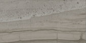 Arcadia 12X24 Trentino Polished | Diversity Kitchen Bath & Tile