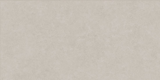 Lithoform 24X48 Crosscut Coast | Diversity Kitchen Bath & Tile