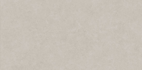 Lithoform 24X48 Crosscut Coast | Diversity Kitchen Bath & Tile