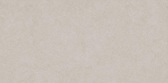 Lithoform 24X48 Crosscut Coast | Diversity Kitchen Bath & Tile