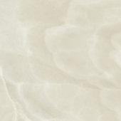 Lustra 24x24 Onyx Crema Honed | Diversity Kitchen Bath & Tile