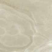 Lustra 24x24 Onyx Hazel Honed | Diversity Kitchen Bath & Tile