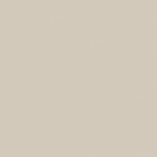 Monoforma 48x48 Oasis Polished | Diversity Kitchen Bath & Tile