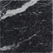 Obsession 10x10 Nero | Diversity Kitchen Bath & Tile