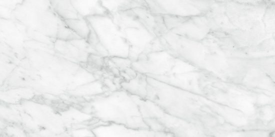 Plata 12x24 Carrara Abisso Matte | Diversity Kitchen Bath & Tile
