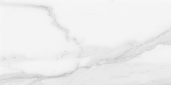 Plata 12x24 Statuario Brina Matte | Diversity Kitchen Bath & Tile