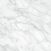 Plata 24x24 Carrara Abisso Matte | Diversity Kitchen Bath & Tile