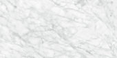 Plata 24x48 Carrara Abisso Polished | Diversity Kitchen Bath & Tile