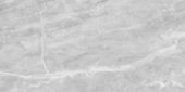 Plata 24x48 Perla Grigia Matte | Diversity Kitchen Bath & Tile