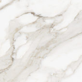 Royal Stoneworks 24X24 Calacatta Royale Polished | Diversity Kitchen Bath & Tile