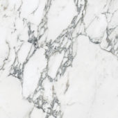 Royal Stoneworks 24X24 Italian Arabescato Polished | Diversity Kitchen Bath & Tile