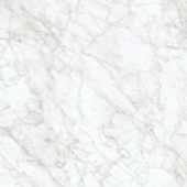 Royal Stoneworks 24X24 Old World Bianco Honed | Diversity Kitchen Bath & Tile