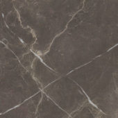Royal Stoneworks 24X24 Regal Brown Marble Honed | Diversity Kitchen Bath & Tile
