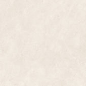 Royal Stoneworks 24X24 Sovereign Cream Honed | Diversity Kitchen Bath & Tile