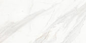 Royal Stoneworks 24X48 Crown Calacatta Honed | Diversity Kitchen Bath & Tile