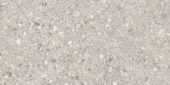 Royal Stoneworks 24X48 Regal Fossil Vein Honed | Diversity Kitchen Bath & Tile