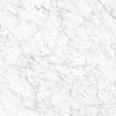 Royal Stoneworks 36X36 Old World Bianco Polished | Diversity Kitchen Bath & Tile