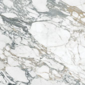 Royal Stoneworks 48X48 Italian Arabescato Polished | Diversity Kitchen Bath & Tile