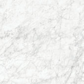 Royal Stoneworks 48X48 Old World Bianco Polished | Diversity Kitchen Bath & Tile
