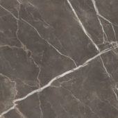 Royal Stoneworks 48X48 Regal Brown Marble Honed | Diversity Kitchen Bath & Tile