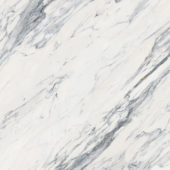 Royal Stoneworks 48X48 Regal White Vein Honed | Diversity Kitchen Bath & Tile