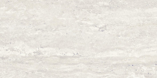 Saturnia 12x24 Roman Matte | Diversity Kitchen Bath & Tile