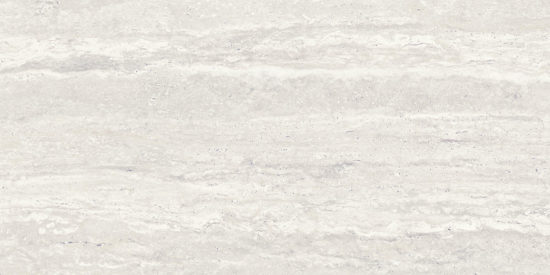 Saturnia 24x48 Roman Matte | Diversity Kitchen Bath & Tile