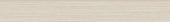 Zera Annex 3x24 Oyster Bullnose | Diversity Kitchen Bath & Tile