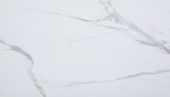 Carrara Marble Wall Tile 25x15 | Diversity Kitchen Bath & Tile