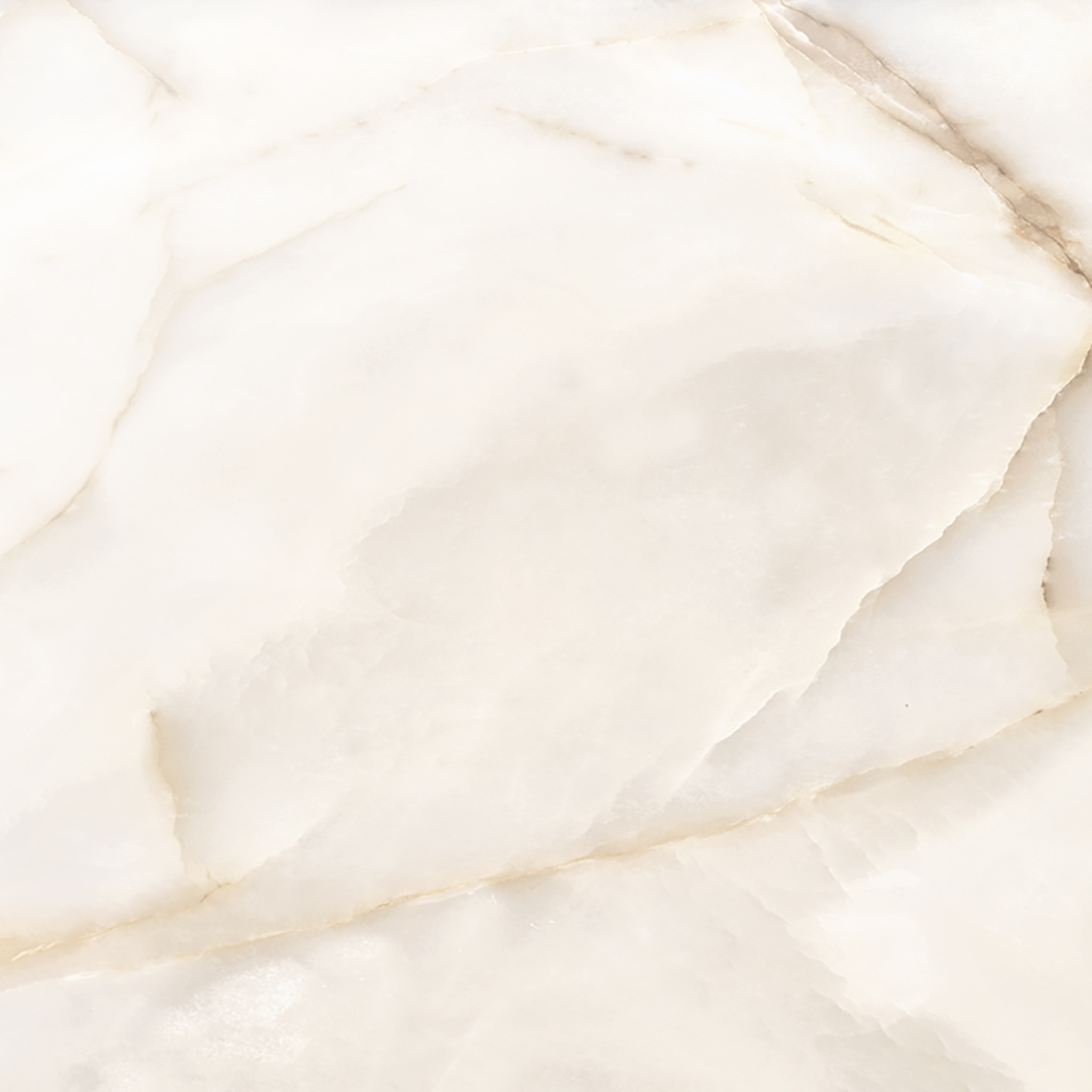 Intrigue Ivory Polished 24x24 | Diversity Kitchen Bath & Tile