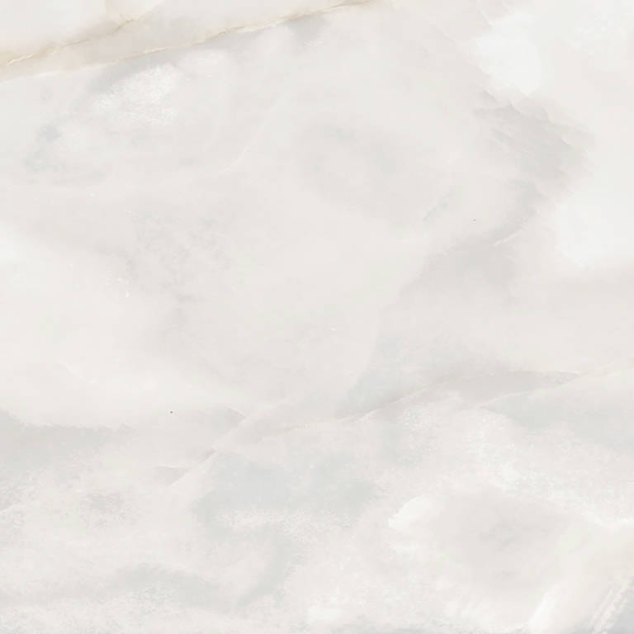 Rendezvous White Matte 24x24 | Diversity Kitchen Bath & Tile