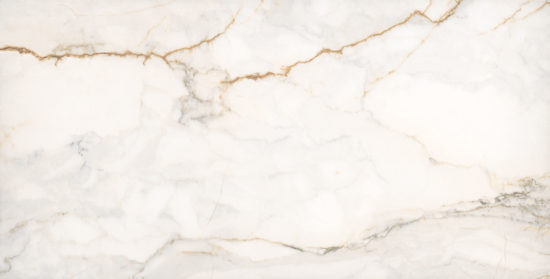 Treasure II Perfect Calacatta 12x24 Polished